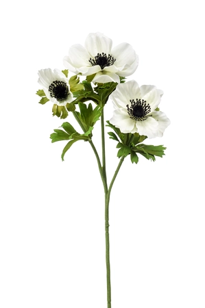 Anemone spray cream 55cm