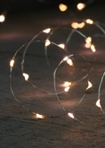 Anna's Collection Draadverlichting 20 LED - Zilver - afbeelding 2