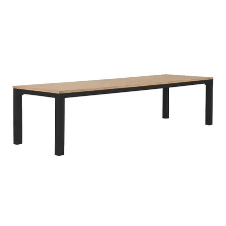 Atlanta tafel 300x100cm