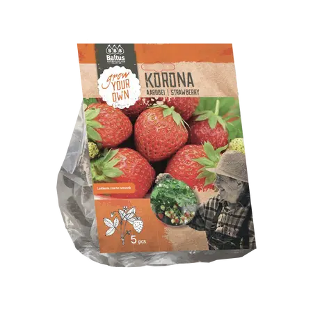 Baltus Aardbei Korona per 5