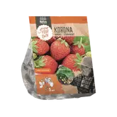 Baltus Aardbei Korona per 5