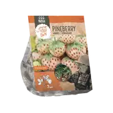 Baltus Aardbei Pineberry per 3