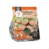 Baltus Aardbei Pineberry per 3