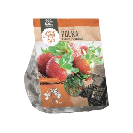 Baltus Aardbei Polka per 5