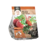 Baltus Aardbei Polka per 5
