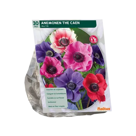 Baltus Anemone de Caen, Mix per 30