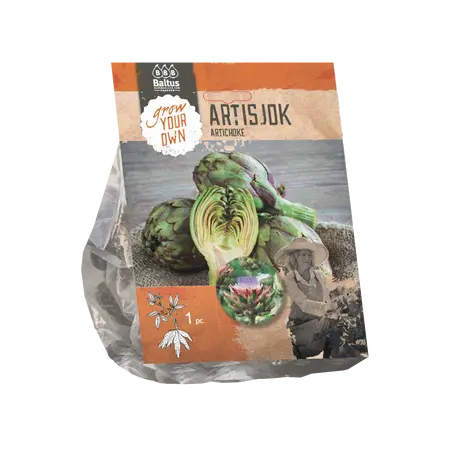 Baltus Artisjok per 1