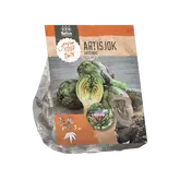 Baltus Artisjok per 1