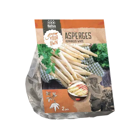 Baltus Asparagus Wit per 2