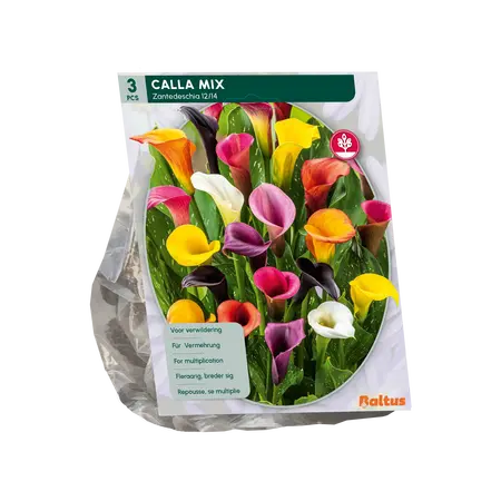 Baltus Calla Zantedeschia Gemengd per 3