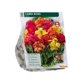 Baltus Canna Gemengd per 3