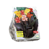 Baltus Canna Gemengd per 3