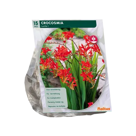 Baltus Crocosmia Lucifer per 15