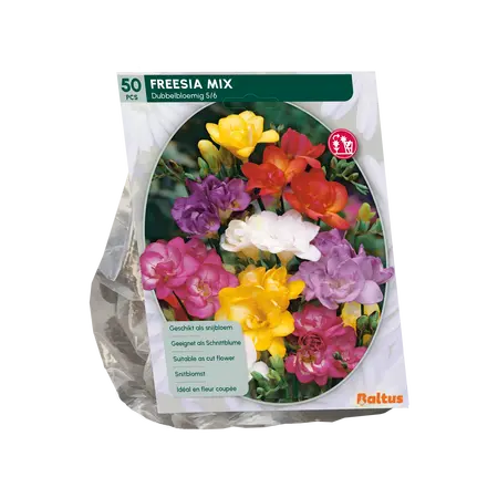 Baltus Freesia Double, Mix per 50