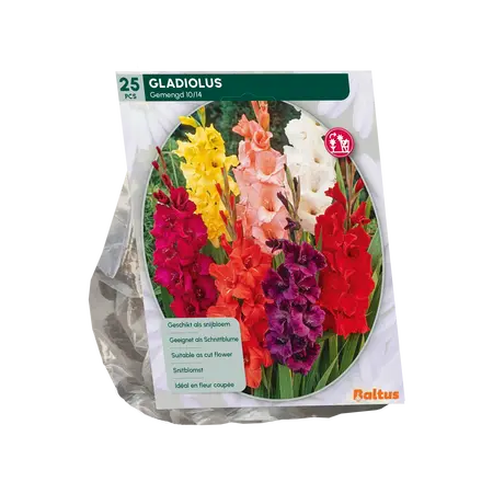 Baltus Gladiolus Gemengd per 25