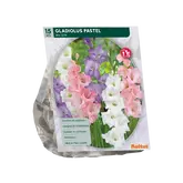 Baltus Gladiolus Pastel Mix per 15