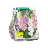 Baltus Gladiolus Pastel Mix per 15