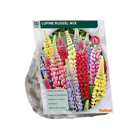 Baltus Lupine Russel, Mix per 10