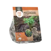 Baltus Maggikruid per 1