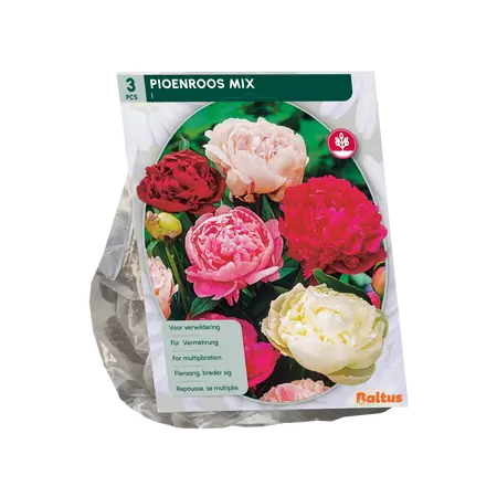 Baltus Pioenrozen, Mix per 3