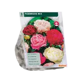 Baltus Pioenrozen, Mix per 3