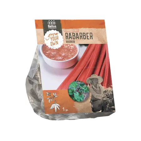 Baltus Rabarber per 1