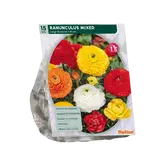 Baltus Ranonkel, Mix per 15