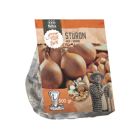 Baltus Uien Sturon (per 500 gram)