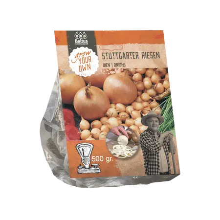 Baltus Uien Stuttgarter Riesen (per 500 gram)