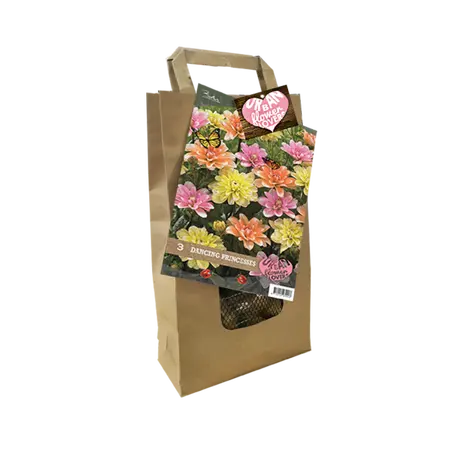 Baltus Urban Flower Lovers - Dancing Princesses per 3