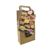 Baltus Urban Flower Lovers - Dancing Princesses per 3