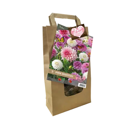 Baltus Urban Flower Lovers - Pink Beauties per 3