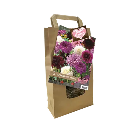 Baltus Urban Flower Lovers - Sparkling Music per 3