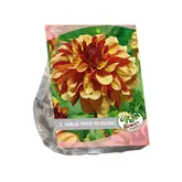 Baltus Urban Flowers - Crème de Cognac per 1