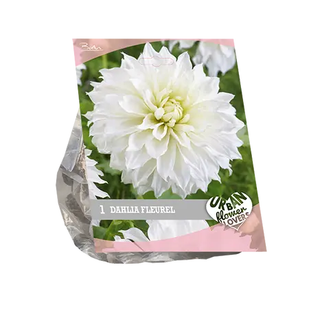 Baltus Urban Flowers - Fleurel per 1