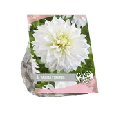 Baltus Urban Flowers - Fleurel per 1