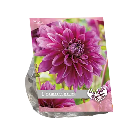 Baltus Urban Flowers - Le Baron per 1