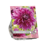 Baltus Urban Flowers - Le Baron per 1