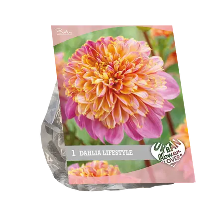 Baltus Urban Flowers - Lifestyle per 1