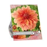 Baltus Urban Flowers - Mango madness per 1