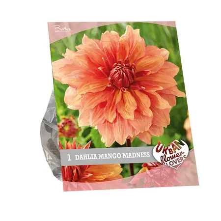 Baltus Urban Flowers - Mango madness per 1