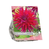 Baltus Urban Flowers - Orfeo per 1