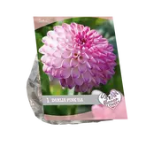 Baltus Urban Flowers - Pink Isa per 1