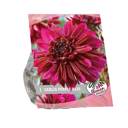 Baltus Urban Flowers - Purple Haze per 1