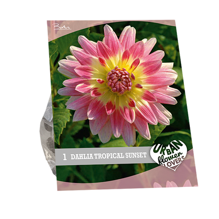 Baltus Urban Flowers - Tropical Sunset per 1