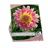 Baltus Urban Flowers - Tropical Sunset per 1