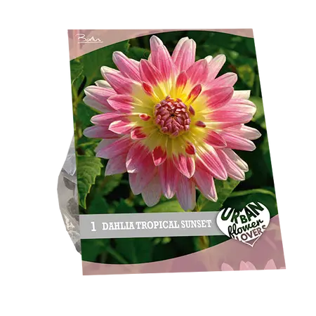 Baltus Urban Flowers - Tropical Sunset per 1