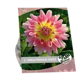 Baltus Urban Flowers - Tropical Sunset per 1