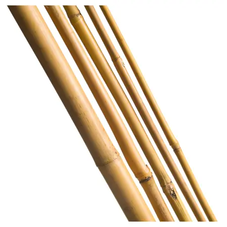 Bamboestok l300cm d20-22mm 3st