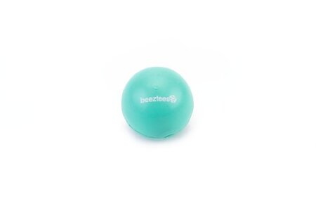 Beeztees Massief Bal No1 - Hondenspeelgoed - Mint - 4,5 cm